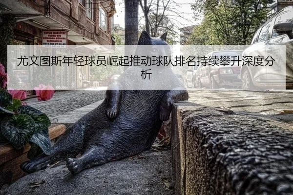 you-wen-tu-si-nian-qing-qiu-yuan-jue-qi-tui-dong-qiu-dui-pai-ming-chi-xu-pan-sheng-shen-du-fen-xi-2-832.jpg